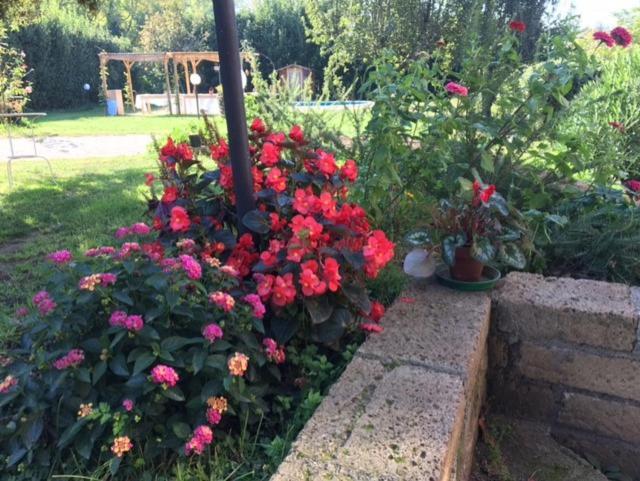 Il Giardino Dei Desideri *